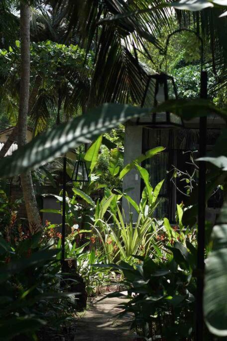 Hotel Dreamtime à Hikkaduwa Extérieur photo